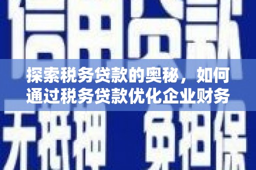 黑龙江探索税务贷款的奥秘，如何通过税务贷款优化企业财务