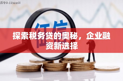黑龙江探索税务贷的奥秘，企业融资新选择