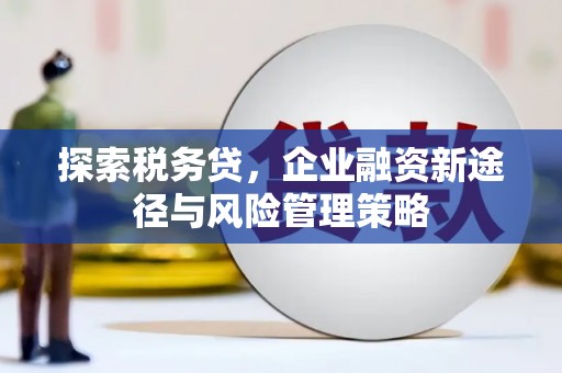黑龙江探索税务贷，企业融资新途径与风险管理策略