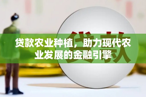 黑龙江贷款农业种植，助力现代农业发展的金融引擎
