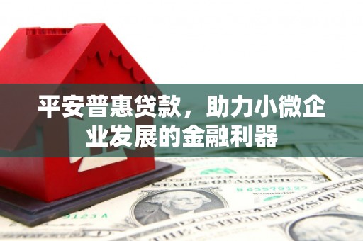 黑龙江平安普惠贷款，助力小微企业发展的金融利器
