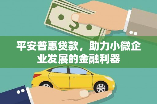 黑龙江平安普惠贷款，助力小微企业发展的金融利器