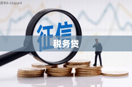 黑龙江税务贷