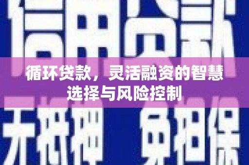 黑龙江循环贷款，灵活融资的智慧选择与风险控制