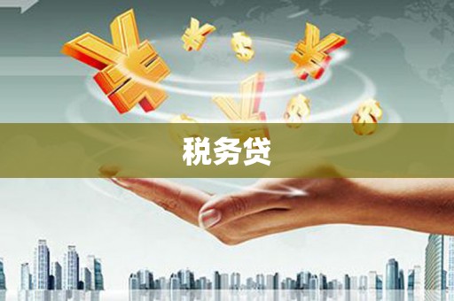黑龙江税务贷