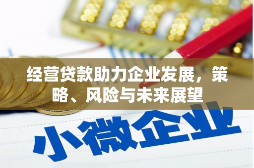 黑龙江经营贷款助力企业发展，策略、风险与未来展望