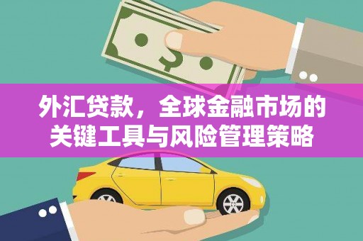 黑龙江外汇贷款，全球金融市场的关键工具与风险管理策略