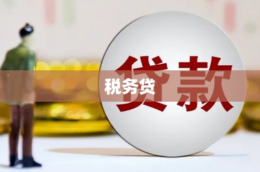 黑龙江税务贷