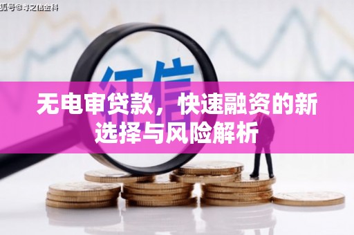 黑龙江无电审贷款，快速融资的新选择与风险解析