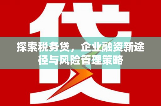黑龙江探索税务贷，企业融资新途径与风险管理策略