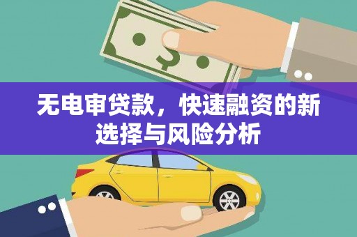 黑龙江无电审贷款，快速融资的新选择与风险分析