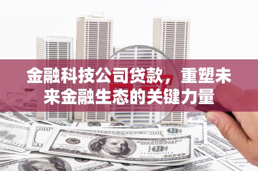 黑龙江金融科技公司贷款，重塑未来金融生态的关键力量