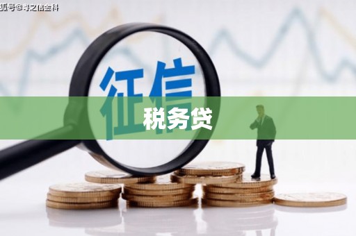 黑龙江税务贷