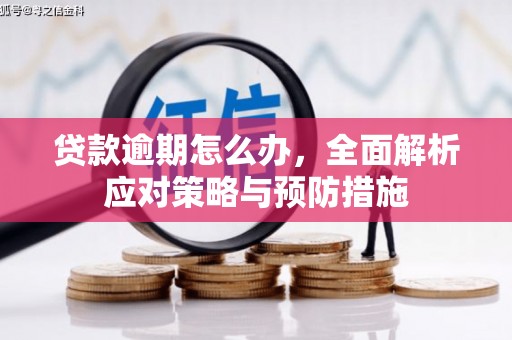 黑龙江贷款逾期怎么办，全面解析应对策略与预防措施