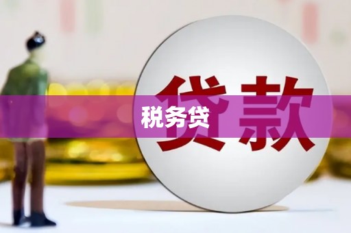 黑龙江税务贷