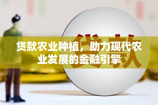黑龙江贷款农业种植，助力现代农业发展的金融引擎