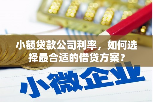 黑龙江小额贷款公司利率，如何选择最合适的借贷方案？