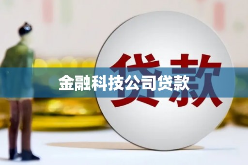 黑龙江金融科技公司贷款