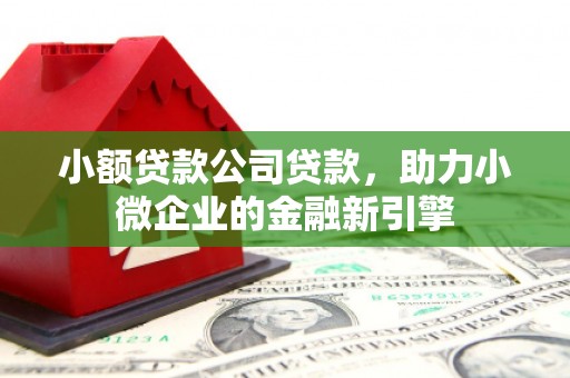 黑龙江小额贷款公司贷款，助力小微企业的金融新引擎