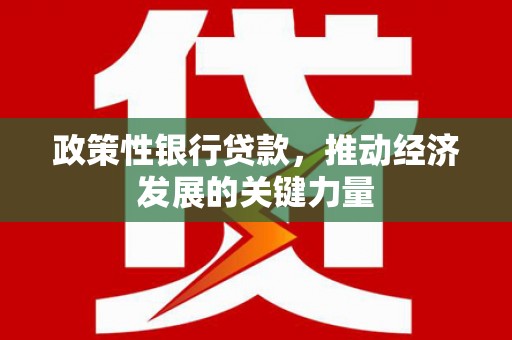 黑龙江政策性银行贷款，推动经济发展的关键力量