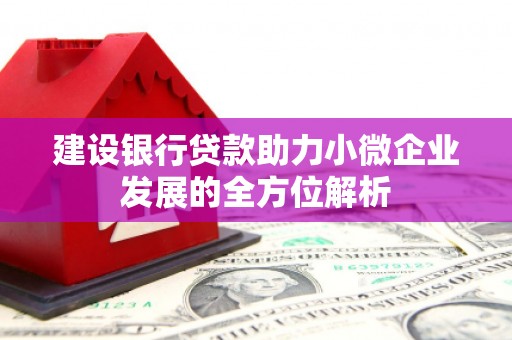 黑龙江建设银行贷款助力小微企业发展的全方位解析