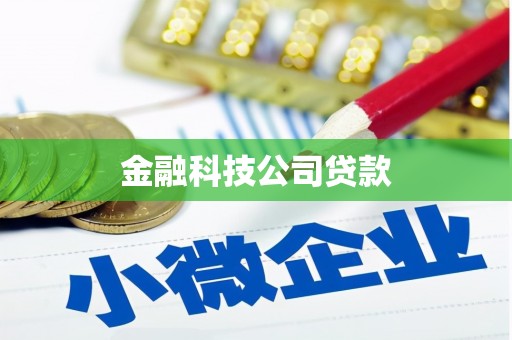 黑龙江金融科技公司贷款