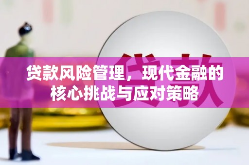 黑龙江贷款风险管理，现代金融的核心挑战与应对策略