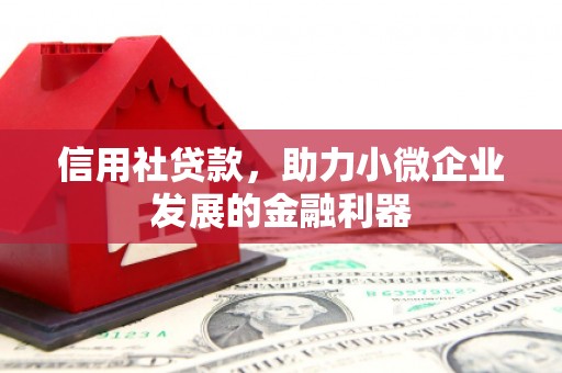 黑龙江信用社贷款，助力小微企业发展的金融利器