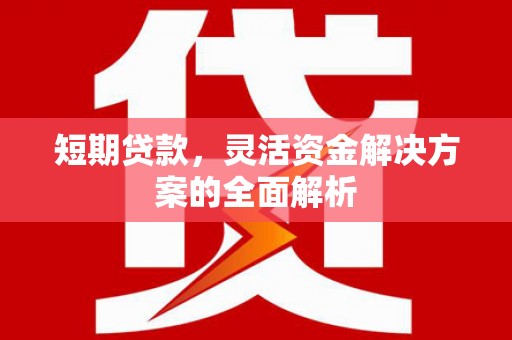 黑龙江短期贷款，灵活资金解决方案的全面解析