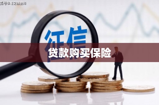 黑龙江贷款购买保险