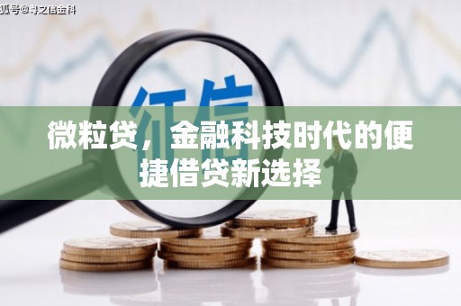 黑龙江微粒贷，金融科技时代的便捷借贷新选择