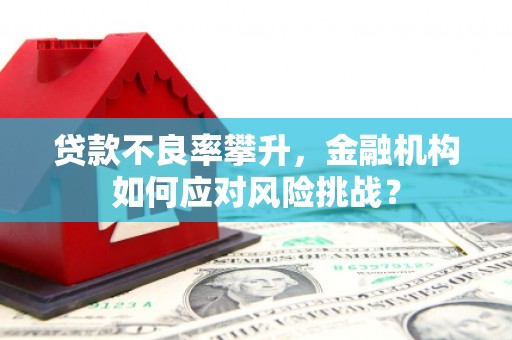 黑龙江贷款不良率攀升，金融机构如何应对风险挑战？