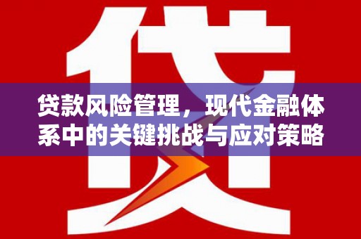 黑龙江贷款风险管理，现代金融体系中的关键挑战与应对策略
