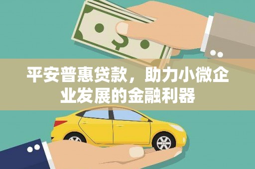黑龙江平安普惠贷款，助力小微企业发展的金融利器