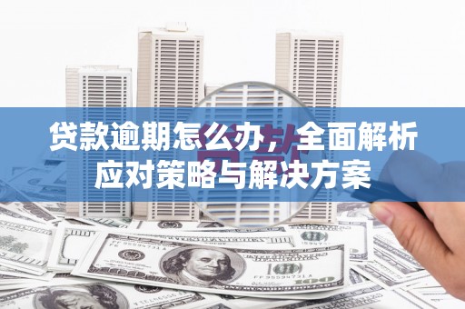 黑龙江贷款逾期怎么办，全面解析应对策略与解决方案