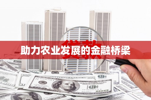 黑龙江助力农业发展的金融桥梁