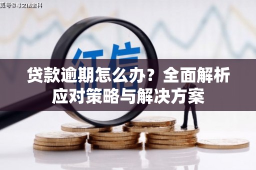 黑龙江贷款逾期怎么办？全面解析应对策略与解决方案