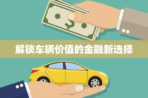 黑龙江解锁车辆价值的金融新选择