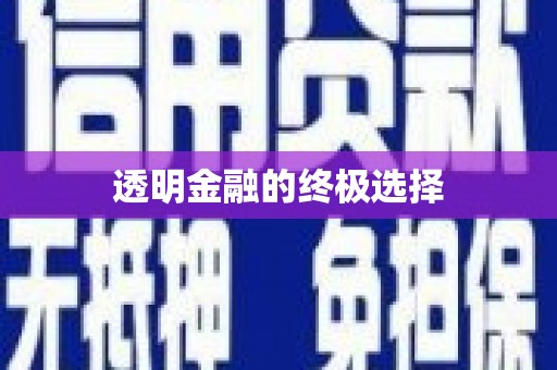 黑龙江透明金融的终极选择