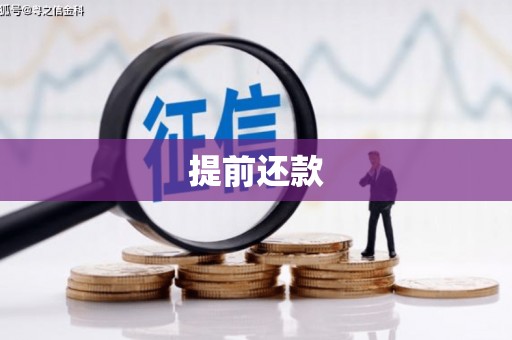 黑龙江提前还款