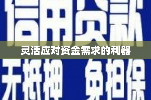 黑龙江灵活应对资金需求的利器