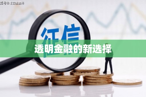 黑龙江透明金融的新选择