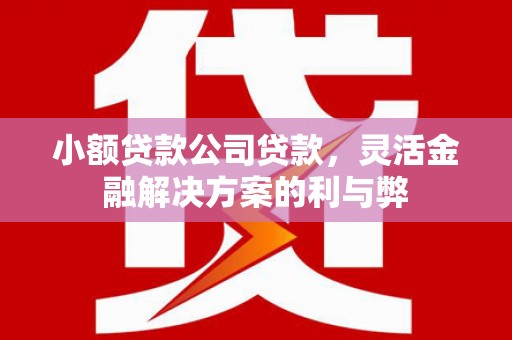 黑龙江小额贷款公司贷款，灵活金融解决方案的利与弊