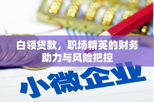 黑龙江白领贷款，职场精英的财务助力与风险把控